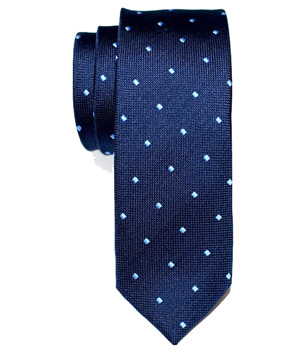 Dotted navy-blue tie with light-blue dots by Retreez