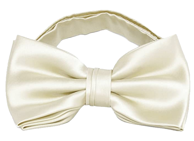 Pre-tied beige bow tie by TieMart